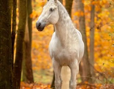 468279277_122122926884540587_7209675410244896872_n