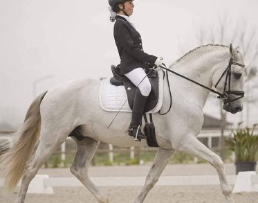 468284335_122122925090540587_7313063491372177245_n