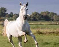 468325212_122122927484540587_531133387063808773_n