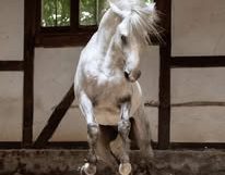 468325221_122122933004540587_7989407641250870654_n