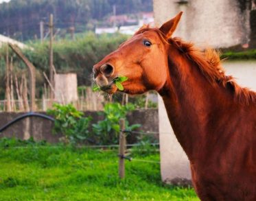 511579670_23923226177296307_3650729924474981834_n