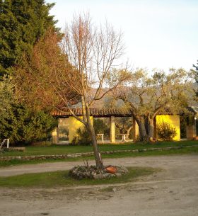 540042923_10223410813857448_791106448699298250_n