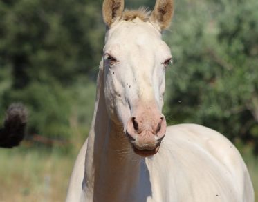 67270460_2381189665259936_4817715045565726720_n