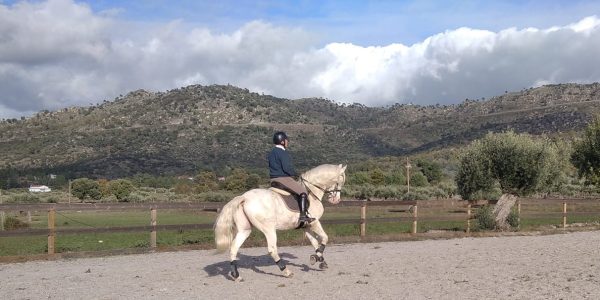 122777904_3454679344577624_3458993916851803944_n