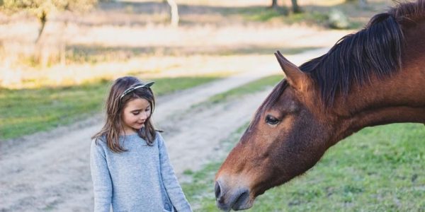 193996268_4060433257335560_1990300248635290120_n