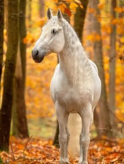 468279277_122122926884540587_7209675410244896872_n