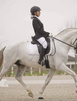 468284335_122122925090540587_7313063491372177245_n