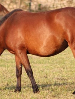 468444674_122123432408540587_7666552299587393231_n