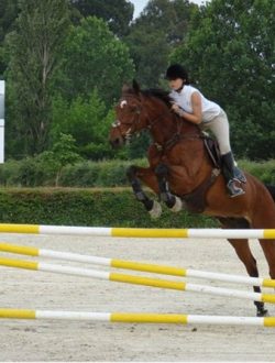 480876435_9318589698186530_503817171800117224_n