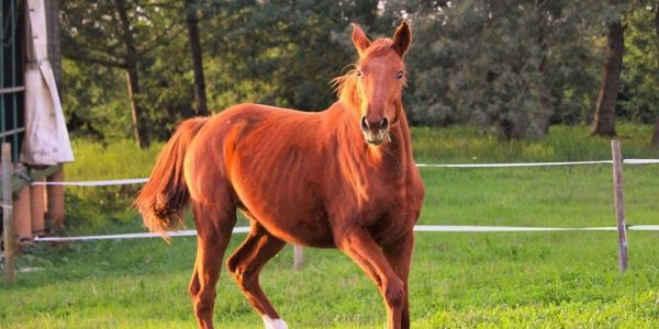 513202262_23923226573962934_830207516061091975_n